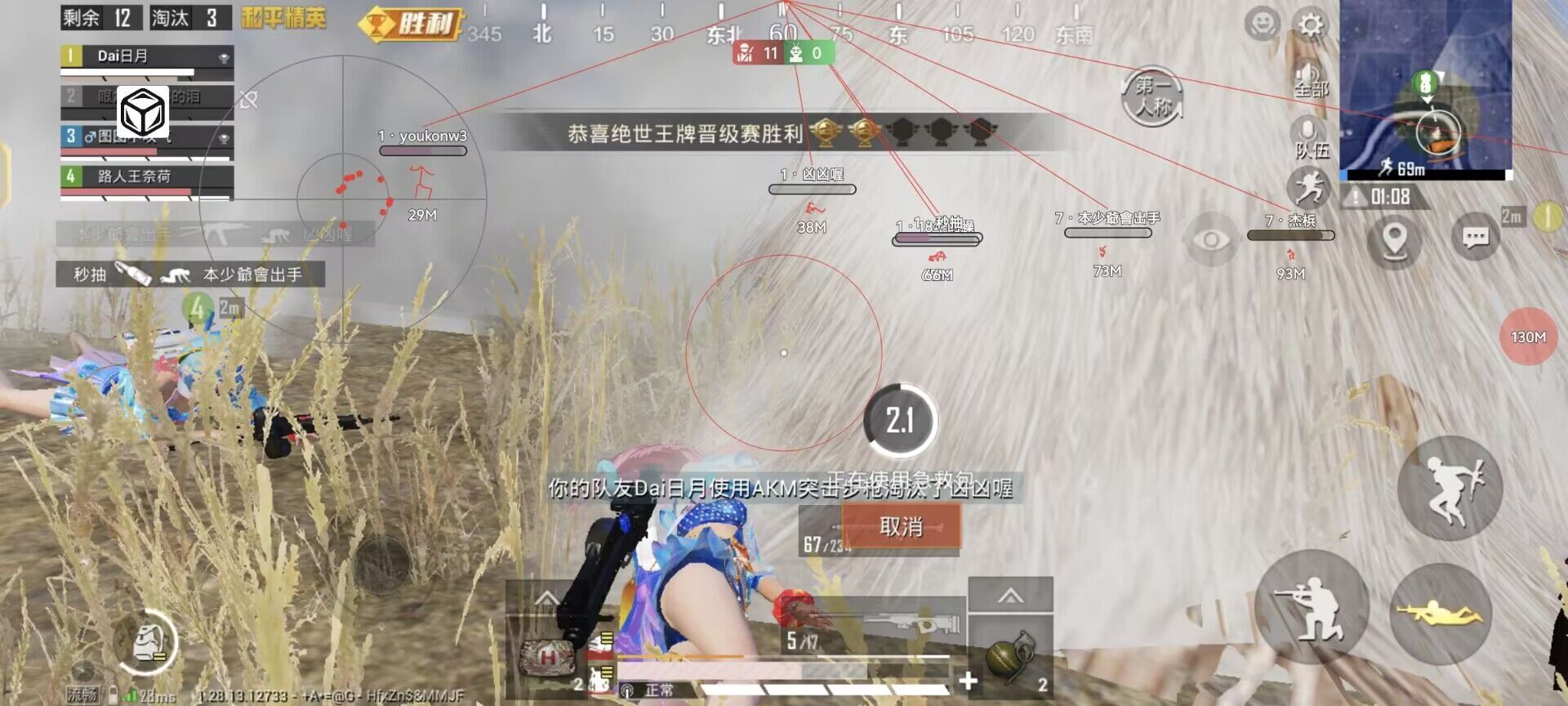 和平精英【锦鲤内核】辅助外挂